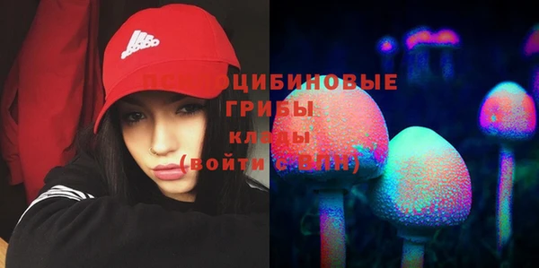 ECSTASY Абинск