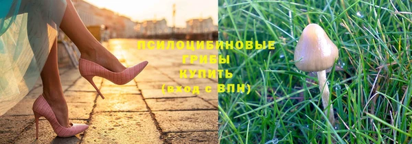 дурь Алексин