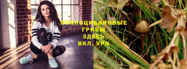 бошки Абаза