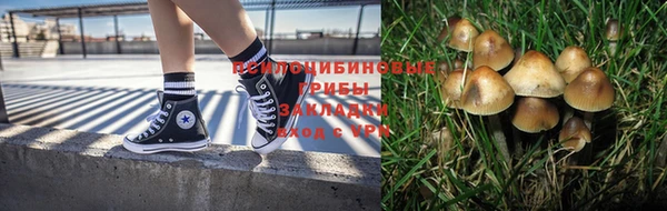 дурь Алексин