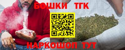 мдпв Гусев