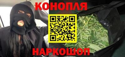 мдпв Гусев