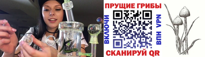 Галлюциногенные грибы MAGIC MUSHROOMS  Сатка 