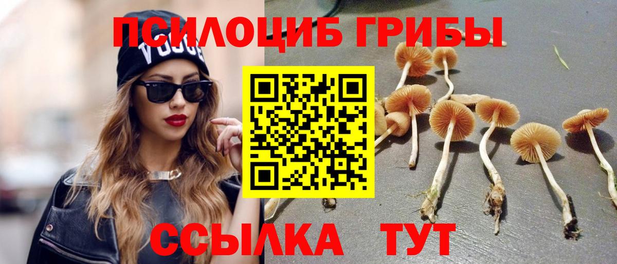 Галлюциногенные грибы Magic Shrooms  Вход с VPN  Сатка 