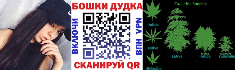 Бошки Шишки тримм  MEGA ссылки  Сатка  маркетплейс официальный сайт  цены наркотик 